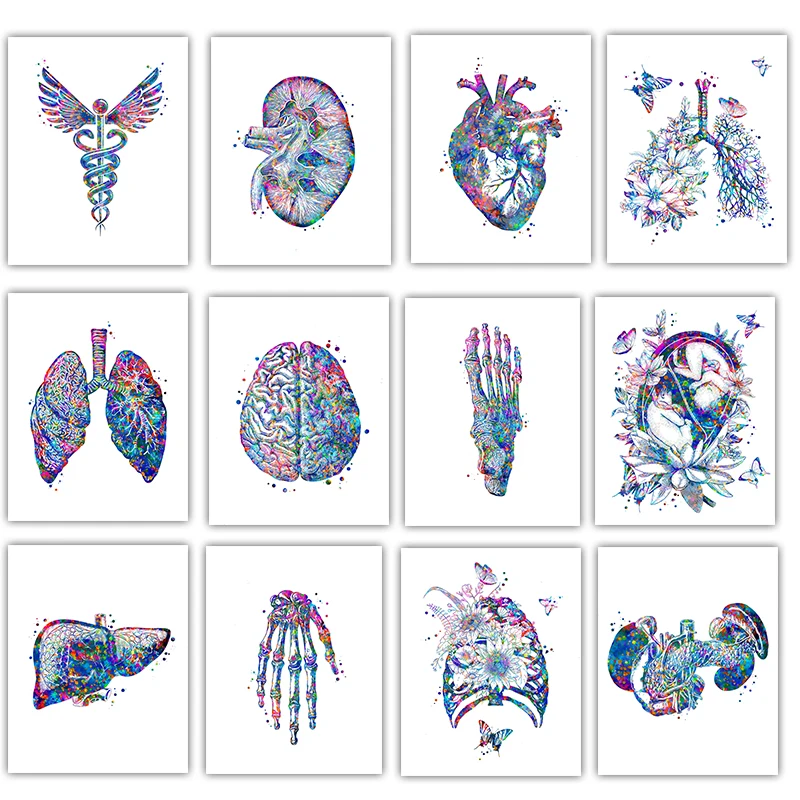 Medical Lab Pictures - Poster medis anatomi bunga Organ seni