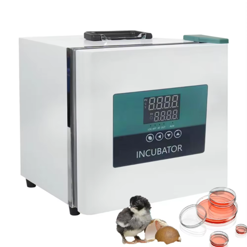 Inkubator Portabel untuk Kenda - Medical Lab Microbiology ulasan dan harga
