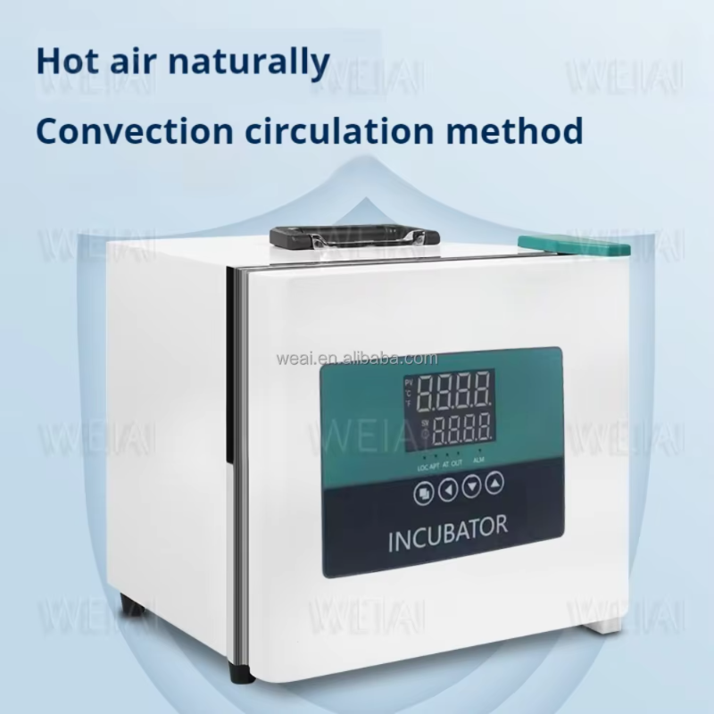 Inkubator Portabel untuk Kenda - Medical Lab Microbiology ulasan dan harga