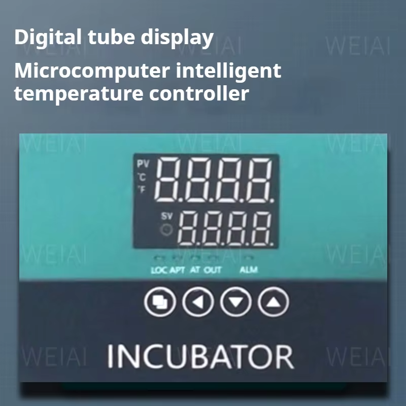 Inkubator Portabel untuk Kenda - Medical Lab Microbiology ulasan dan harga