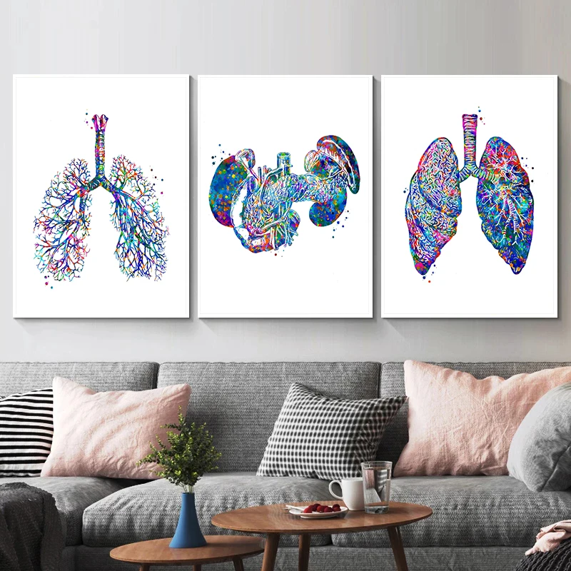 Poster medis anatomi bunga Org - Medical Lab Pictures ulasan dan harga