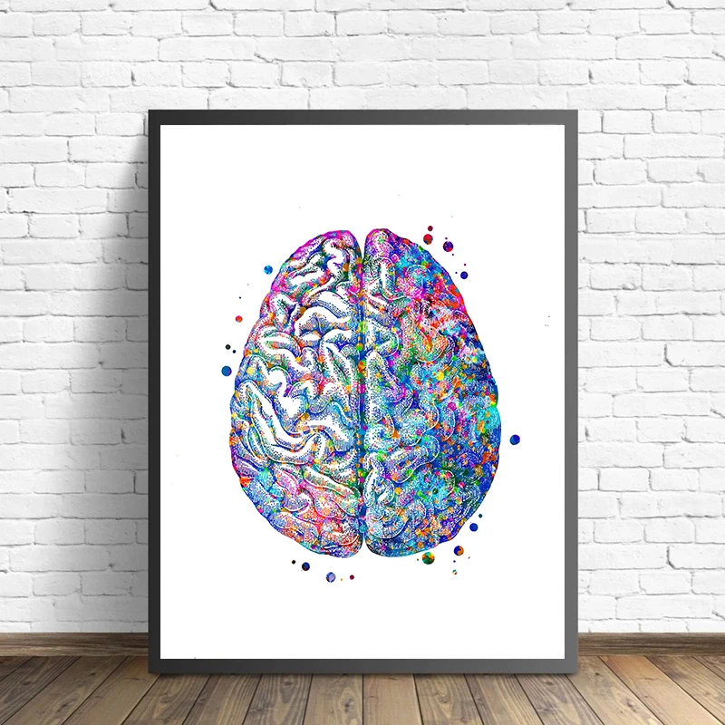 Poster medis anatomi bunga Org - Medical Lab Pictures ulasan dan harga