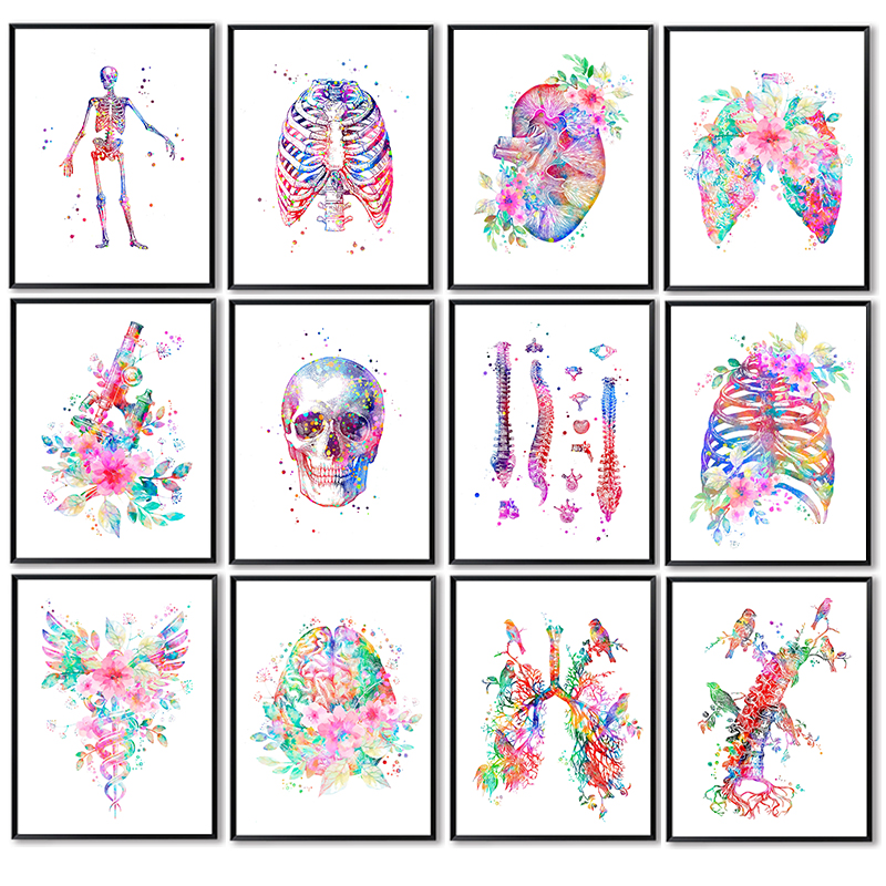 Poster Anatomi Medis Tanpa Bin - Medical Lab Pictures ulasan dan harga