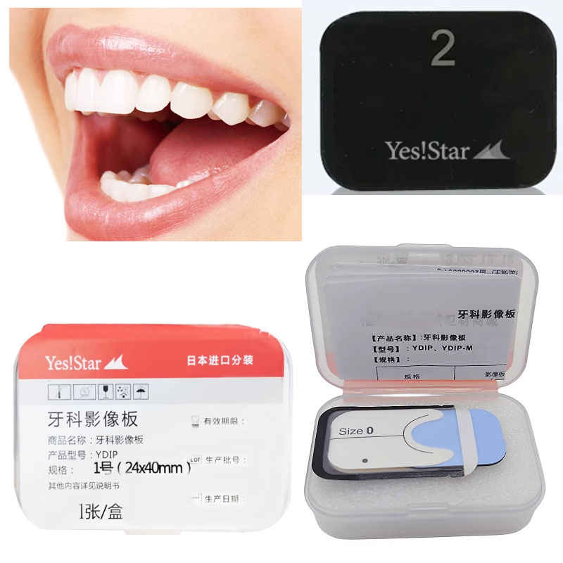 1 Buah Pelat Gambar Fosfor Gig - Medical X ulasan dan harga