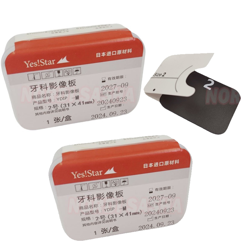 1 Buah Pelat Gambar Fosfor Gig - Medical X ulasan dan harga