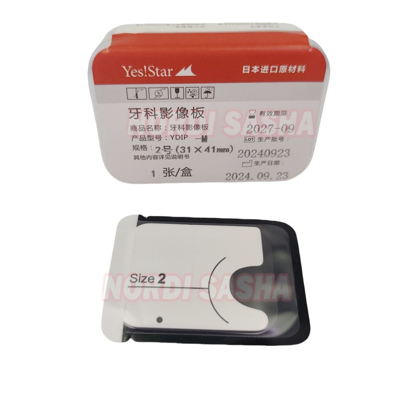 1 Buah Pelat Gambar Fosfor Gig - Medical X ulasan dan harga