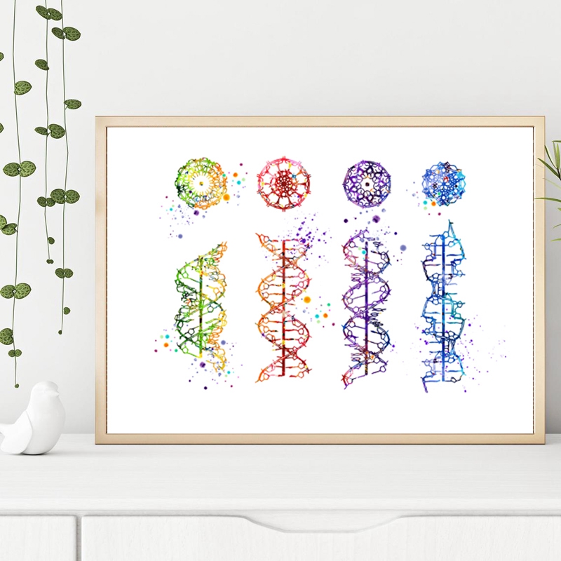 DNA Molekul Cetak Modern Medis - Medical Lab Pictures ulasan dan harga
