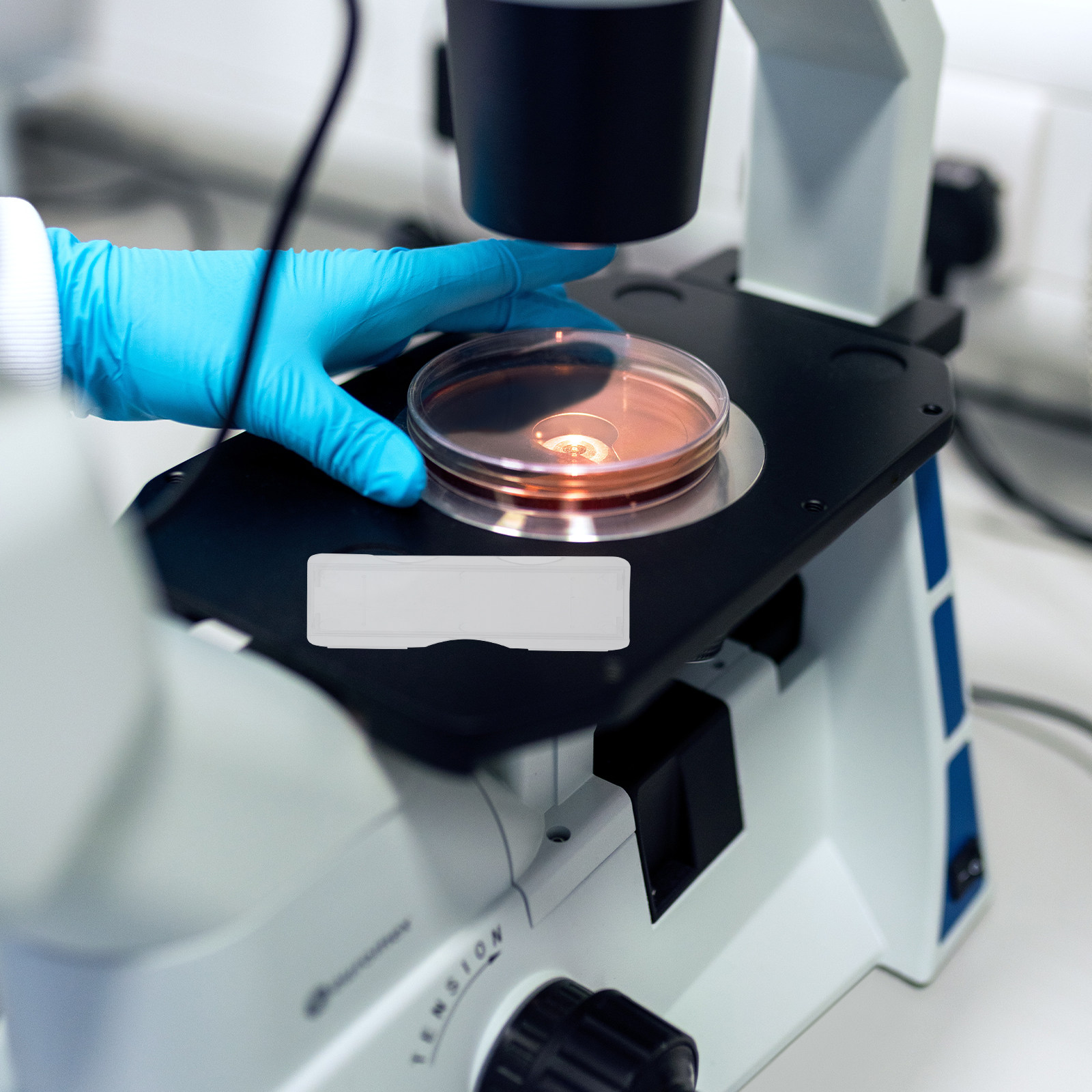 100 Buah Kotak Penyimpanan Sli - Pathology Slide Storage ulasan dan harga