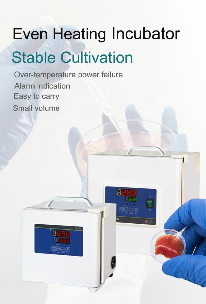 Inkubator Laboratorium WEIAI,  - Medical Lab Microbiology ulasan dan harga